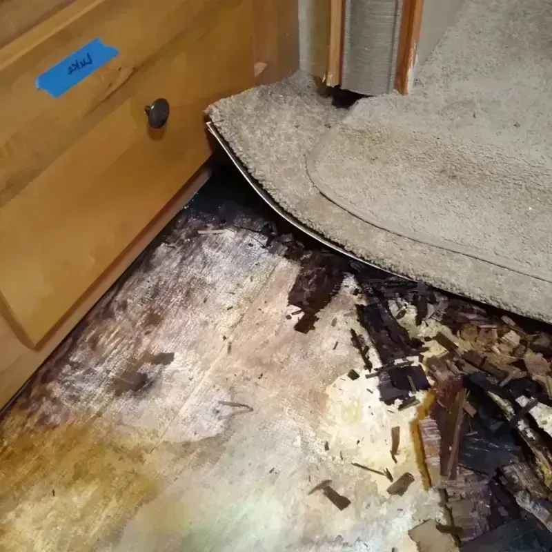 Wood Floor Water Damage in Level Plains, AL